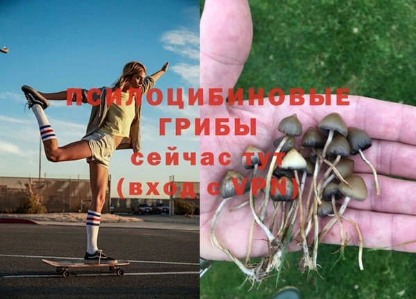 синтетический гашиш Гусев