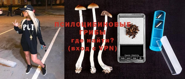 дмт Гусиноозёрск