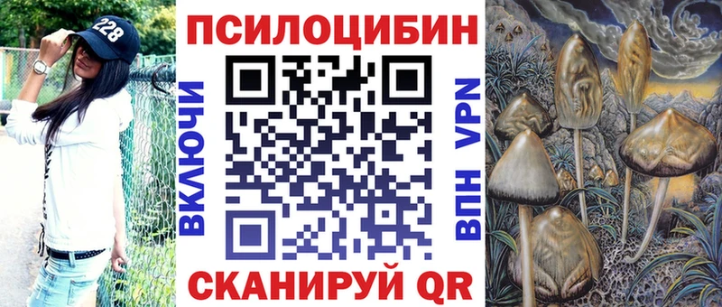 Галлюциногенные грибы Magic Shrooms  где купить   Щигры 